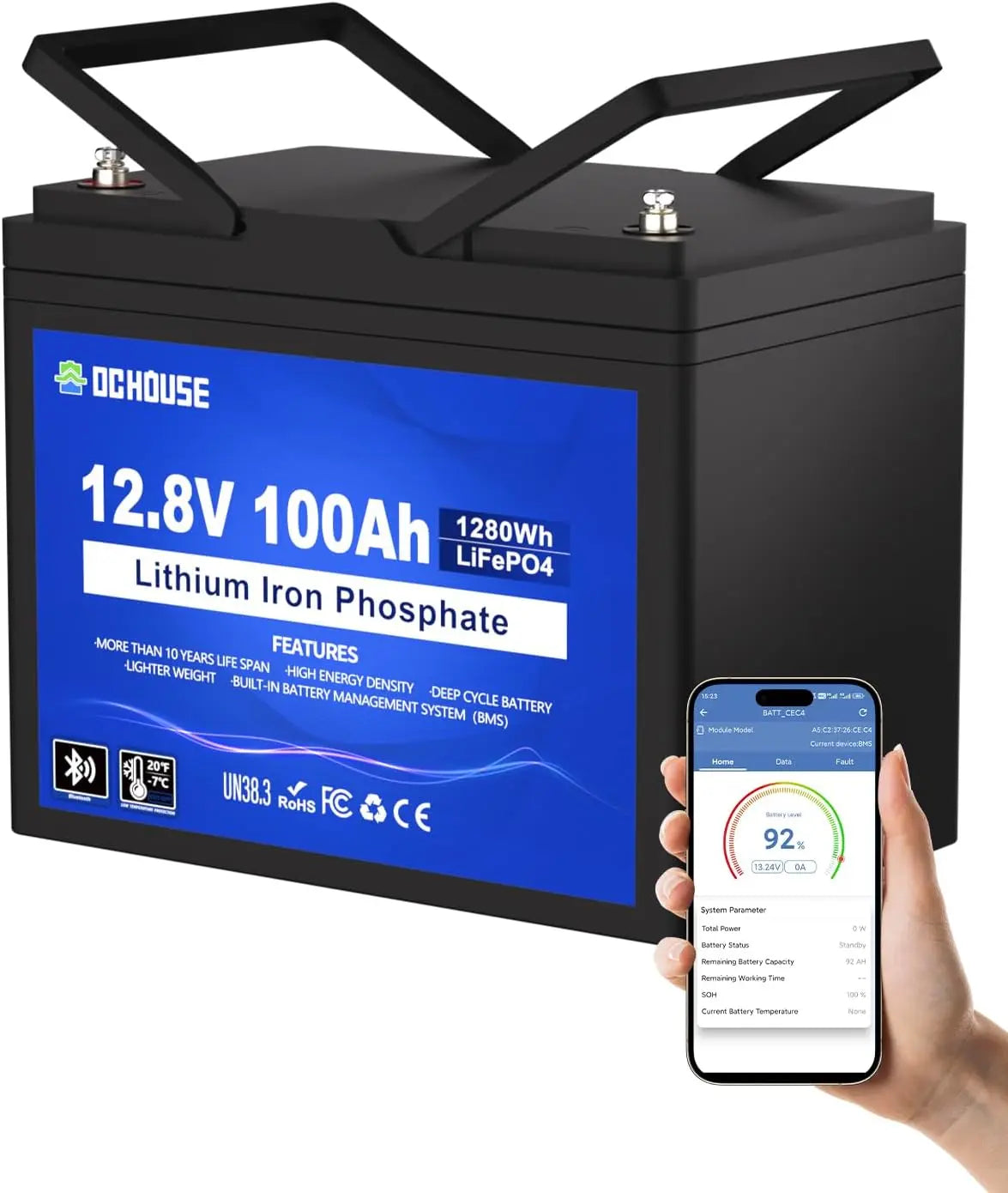 Batteria ricaricabile DCHOUSE - 12V, 100Ah