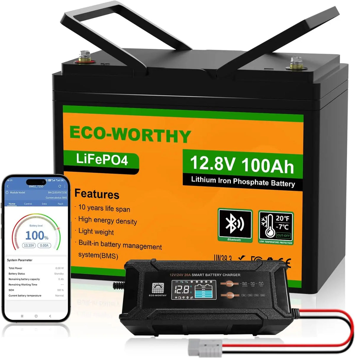 Caricabatterie ECO-WORTHY LiFePO4 - con Bluetooth - 12V, 100Ah, 24 V