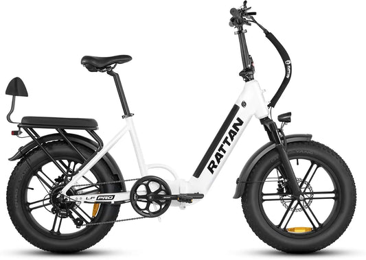 Bicicletta elettrica Rattan LF PRO - pieghevole - 48V, 18Ah, 864Wh