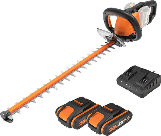 Batteria ricaricabile WORX - 40 V, 20 V, 60 cm